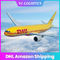 Günlük Teslimat LCL DHL Hava Taşımacılığı, DDP DHL Kapıdan Kapıya Uluslararası Hizmet