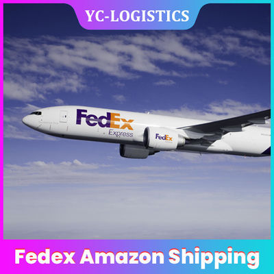 Kapıdan Kapıya Hızlı Teslimat EY TK OZ FedEx Amazon Shipping