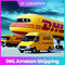 TK 5 ila 6 Gün CZ DHL Freight Forwarder Çin'den ABD'ye Amazon